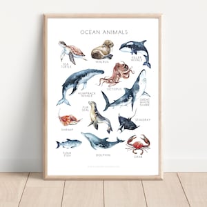 Cartel de la naturaleza de los animales del océano, cartel educativo, Charlotte Mason, Montessori, decoración del aula, animales del océano, aula, todos los tamaños