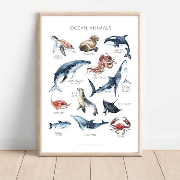 Ocean Animals Nature Poster, Educational Poster, Charlotte Mason, Montessori, Classroom decor, ocean animals, schoolroom, All Sizes