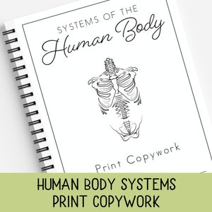 Human Body Systems, Print Copywork, Human Body Facts, Print Handwriting Practice, Charlotte Mason, Classical Education, Homeschool Printable