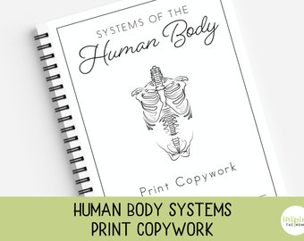 Human Body Systems, Print Copywork, Human Body Facts, Print Handwriting Practice, Charlotte Mason, Classical Education, Homeschool Printable