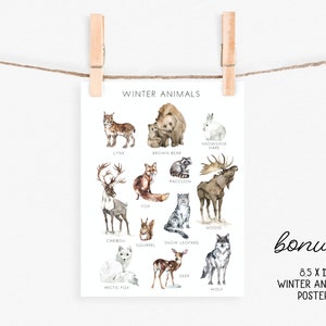 May include: A watercolor illustration of winter animals, including a lynx, brown bear, snowshoe hare, fox, raccoon, moose, caribou, snow leopard, squirrel, deer, arctic fox, and wolf. The illustration is on a white background with the text "WINTER ANIMALS" at the top and "bonus: 8.5 x 11 WINTER ANIMALS POSTER" at the bottom.