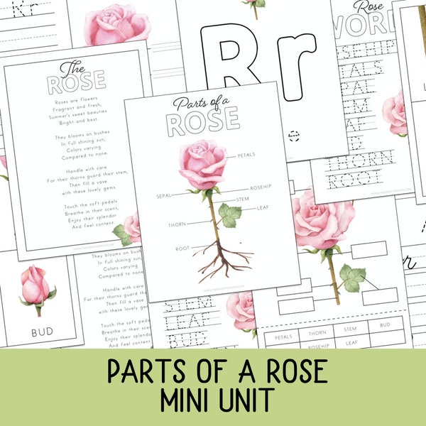 Parts of a Rose Pack, Rose Anatomy, Science, Language Arts, Handwriting, Homeschool Printable, Charlotte Mason, Classical homeschool, rose