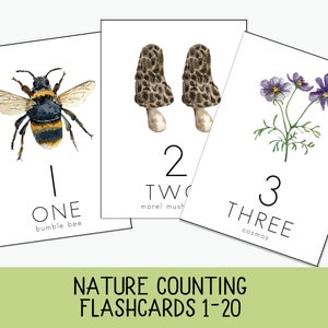 Tarjetas didácticas de conteo de la naturaleza, Preescolar, Educación en el hogar imprimible, Charlotte mason, Tarjetas de nomenclatura Montessori, Actividad de etiquetas, Estudio de la naturaleza