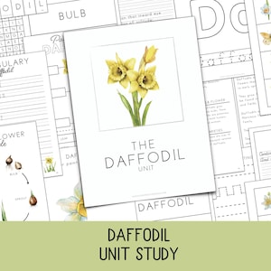 Daffodil Unit Study for PreK–4th Grade Kids | Spring Poetry & Nature Study | Wordsworth Poem | Charlotte Mason PDF | Homeschool or Classroom
