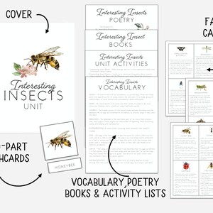 Pode incluir: Materiais educativos intitulados "Unidade de Insetos Interessantes", incluindo um caderno espiralado com uma ilustra&ccedil;&atilde;o de abelha. Inclui cart&otilde;es de informa&ccedil;&otilde;es, flashcards e listas de vocabul&aacute;rio sobre insetos.