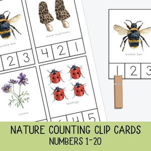 Preschool Nature Counting Clip Cards, numbers 1-20, Charlotte Mason, Preschool counting Activity, clothespin clip clips, counting activity