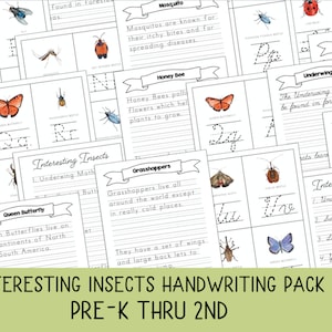 Interesting Insects Handwriting Pack, Prek - 2º grado, impresión y cursiva, tarjetas de alfabeto, Copywork, Escritura de verano, Montessori,