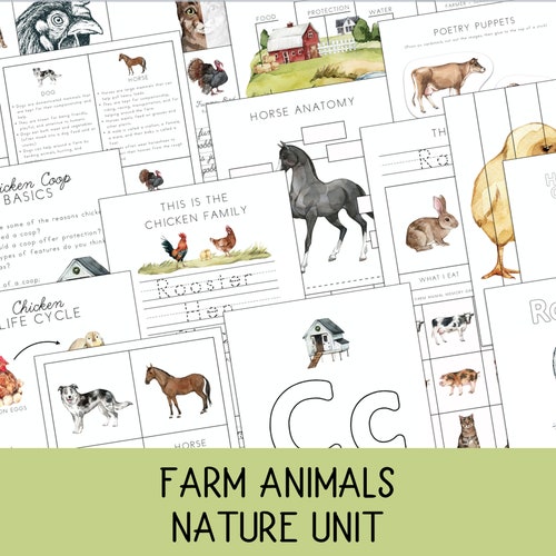 Farm Animals Unit Nature Study Prek2nd Farm Activities Etsy