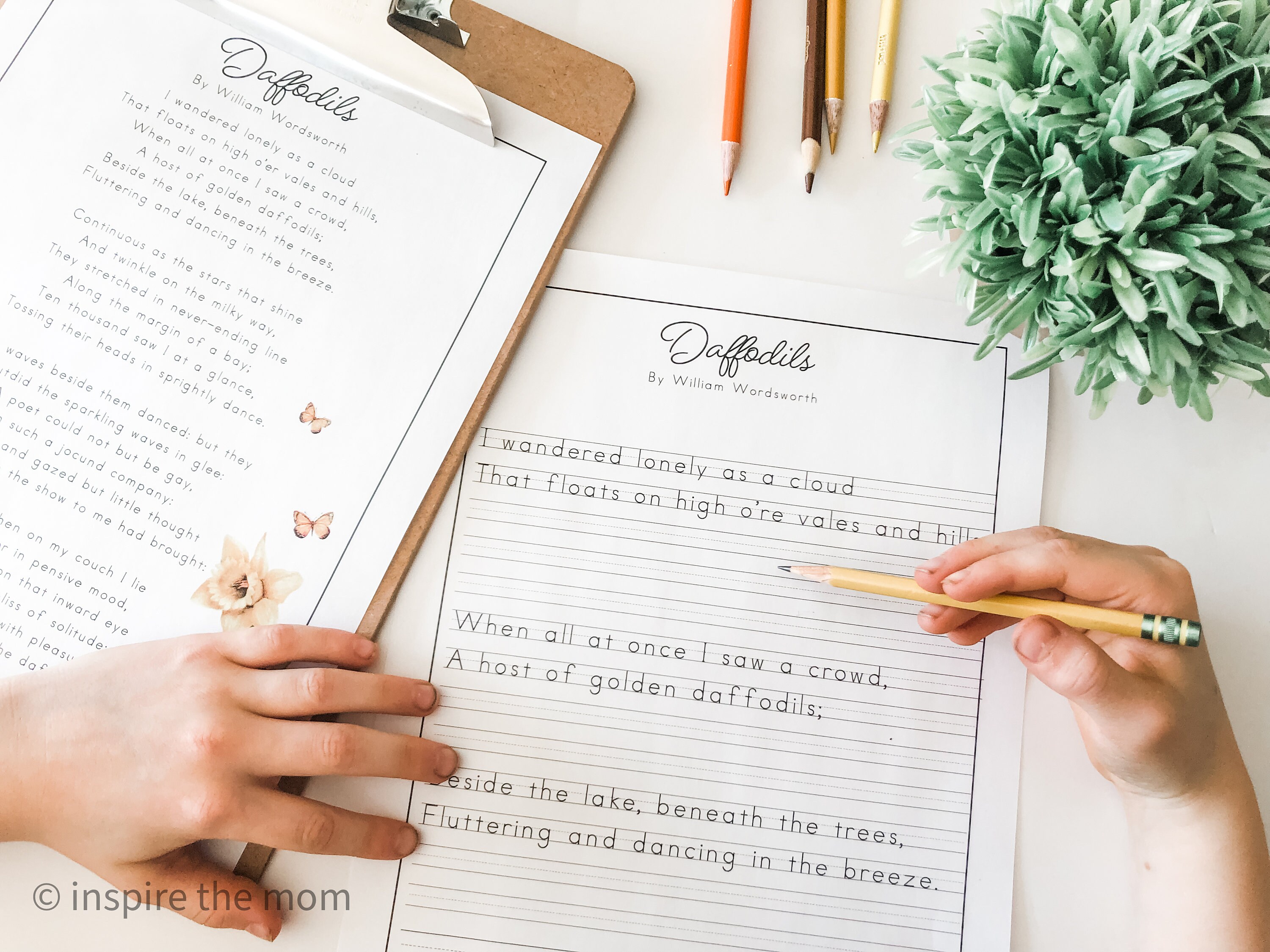 Daffodil Unit Study for Prek4th Grade Daffodil Poem Study Etsy