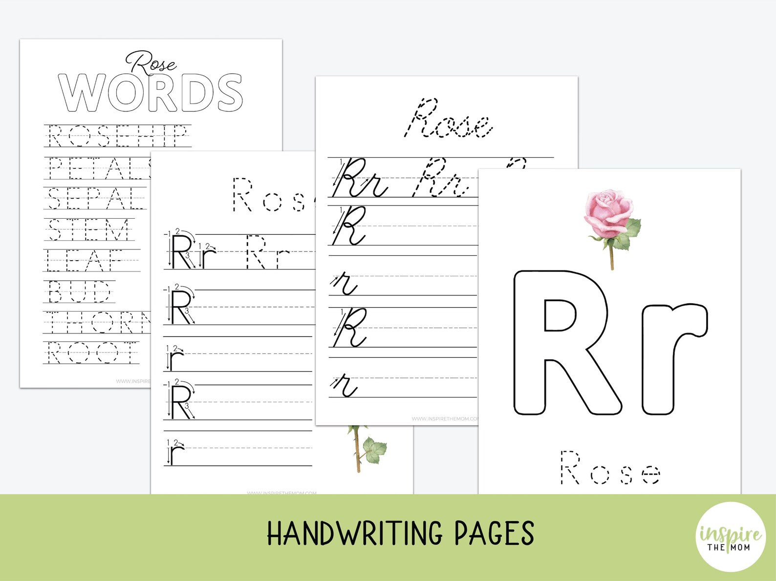 Parts of a Rose Pack Rose Anatomy Science Language Arts - Etsy
