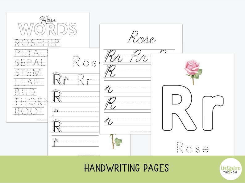 Parts of a Rose Pack Rose Anatomy Science Language Arts - Etsy
