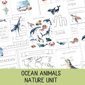 Ocean Animals Unit, Nature Study,Prek - 2nd grade, Ocean unit, Ocean animals Activities, Montessori, Charlotte  Mason, Science unit,