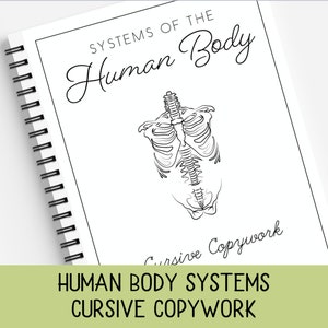 Human Body Systems, Cursive Copywork, Human Body Facts, Cursive Handwriting Practice, Charlotte Mason, Classical, Homeschool Printable