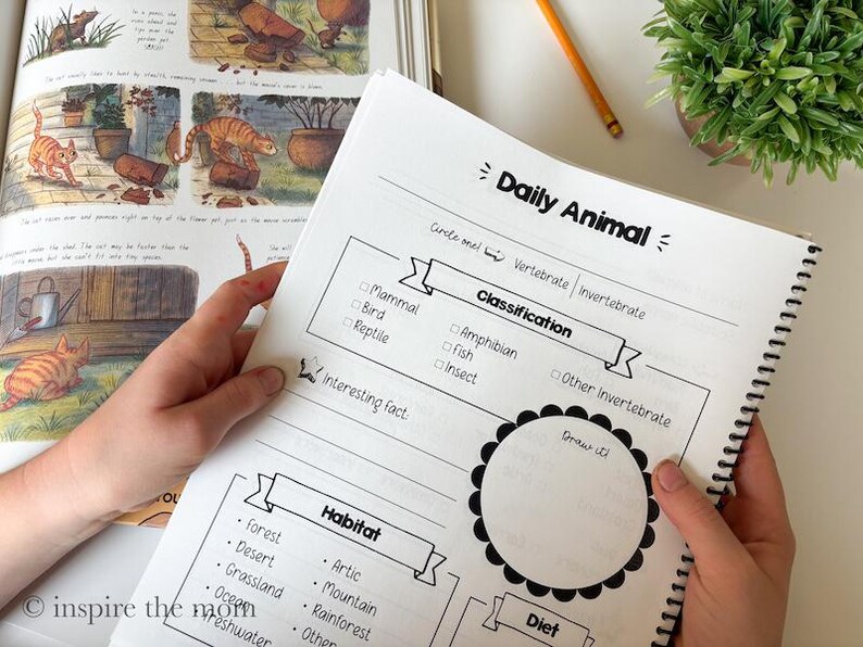 May include: A spiral-bound educational worksheet titled Daily Animal with sections for classification, habitat, and a drawing space. The page features checkboxes for animal types like mammal, bird, and reptile, alongside a list of habitats.