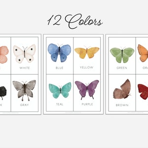 May include: A set of 12 watercolor butterfly illustrations, each depicting a different color: pink, white, blue, yellow, green, orange, black, gray, teal, purple, brown, and red. The butterflies are arranged in a grid of three rows and four columns.