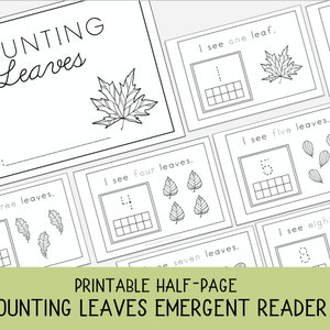 Puede incluir: Hoja de trabajo imprimible en blanco y negro para contar hojas. La hoja de trabajo tiene el título "Contar hojas" e incluye un espacio para un nombre. La hoja de trabajo tiene varias secciones, cada una con un número diferente de hojas y una cuadrícula de números correspondiente.
