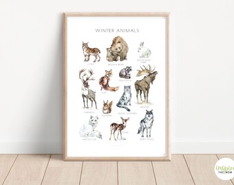 Winter Animals Nature Poster, Educational Poster, School Art, Charlotte Mason, Montessori, animal poster, Homeschool Printable, All Sizes