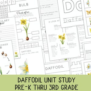 Daffodil Unit Study for Prek-4th grade, Daffodil Poem Study, William Wordsworth Poem, Spring Unit, Charlotte Mason, Classical