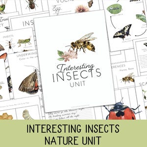 Insect Unit Study for PreK–2nd Kids | Bug Activities | Nature Study | Montessori & Charlotte Mason | Homeschool or Classroom | Lesson Plan