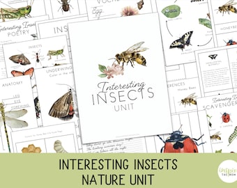 Insect Unit Study for PreK–2nd Kids | Bug Activities | Nature Study | Montessori & Charlotte Mason | Homeschool or Classroom | Lesson Plan