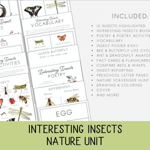 Pode incluir: Conjunto de materiais educativos "Unidade da Natureza de Insetos Interessantes" com ilustra&ccedil;&otilde;es de insetos. O pacote inclui vocabul&aacute;rio, ciclos de vida, poesia e uma ca&ccedil;a ao tesouro na natureza. O design apresenta ilustra&ccedil;&otilde;es de insetos.