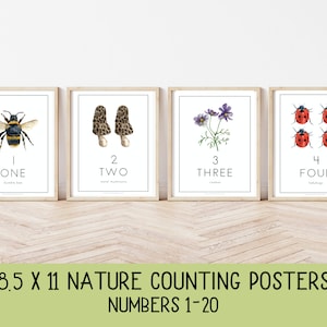 Nature Counting Wall Art, 8,5 x 11 Drucke, Zahlen Wandkunst, Natur Zahlen, Wand dekor, Klassenzimmer Dekor, Zählposter, Montessori
