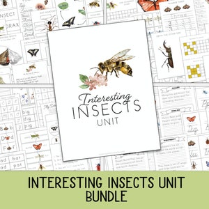 Interesting Insects Unit BUNDLE, Nature Study, Math, Language Arts, Handwriting, Prek - 2nd grade, Spring Activities, Summer, homeschool