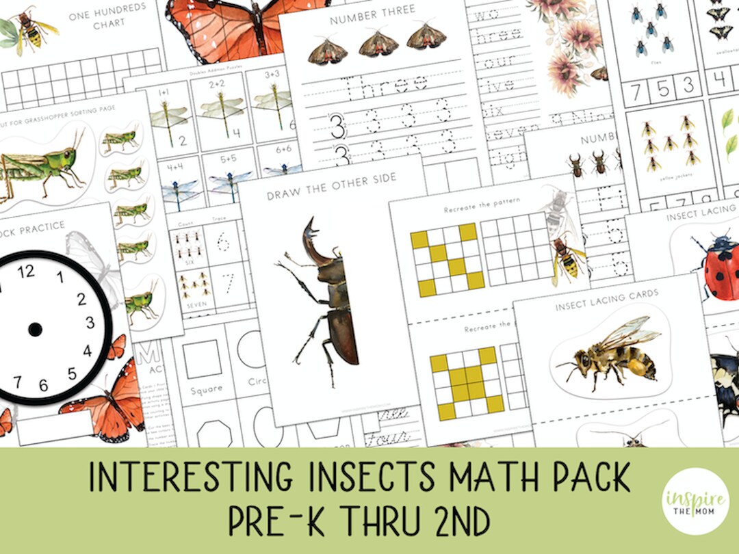 Interesting Insects Math Pack Prek  2nd Grade Math
