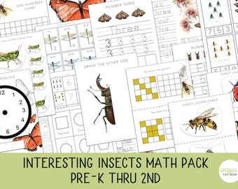 Insect Math Worksheets