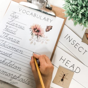 Pode incluir: Uma prancheta cont&eacute;m uma folha de trabalho de vocabul&aacute;rio com termos relacionados a insetos em it&aacute;lico, incluindo "Inseto" e "Metamorfose". Ilustra&ccedil;&otilde;es florais e de borboletas decoram a p&aacute;gina. Cart&otilde;es adicionais exibem "INSETO" e "CABE&Ccedil;A". Uma m&atilde;o escreve com um l&aacute;pis.