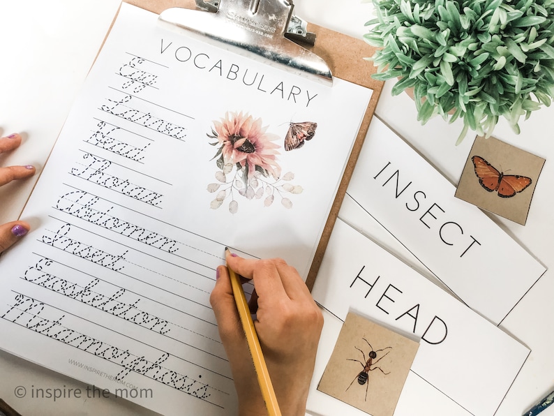 Pode incluir: Uma prancheta cont&eacute;m uma folha de trabalho de vocabul&aacute;rio com termos relacionados a insetos em it&aacute;lico, incluindo "Inseto" e "Metamorfose". Ilustra&ccedil;&otilde;es florais e de borboletas decoram a p&aacute;gina. Cart&otilde;es adicionais exibem "INSETO" e "CABE&Ccedil;A". Uma m&atilde;o escreve com um l&aacute;pis.