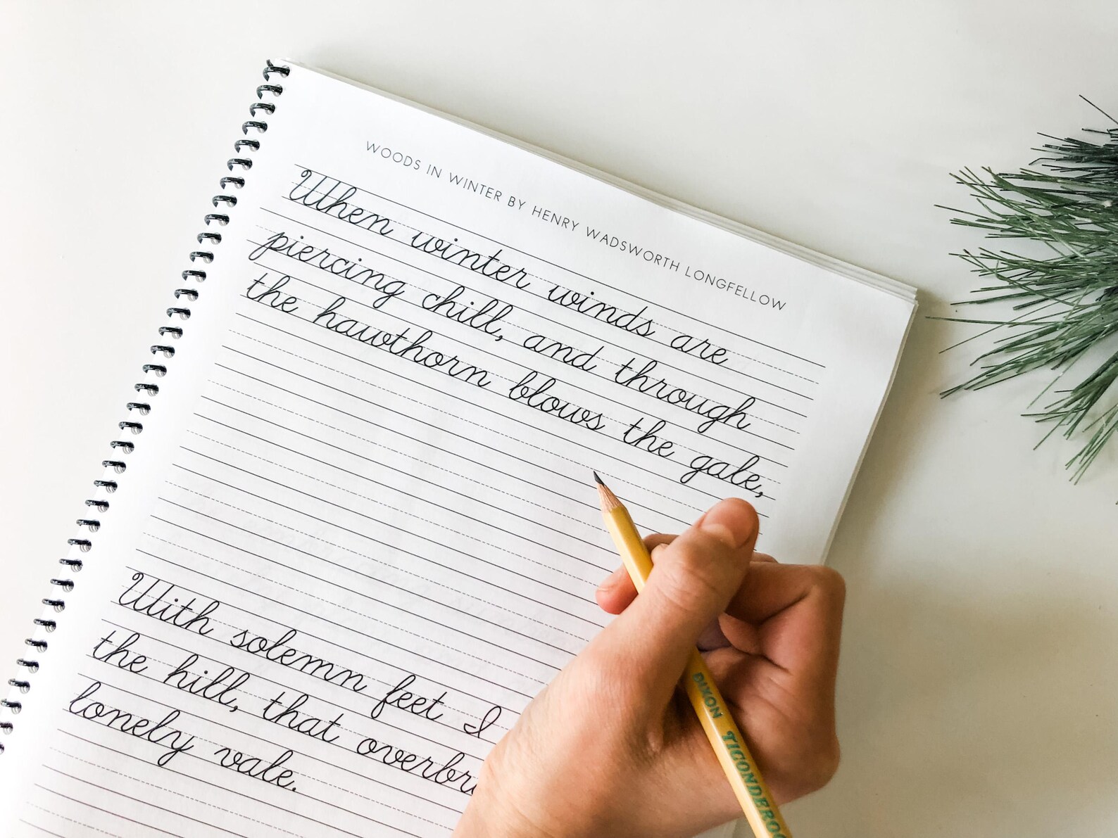 Winter Poems Cursive Copywork, CURSIVE Handwriting Practice, Charlotte ...