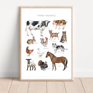 Póster de naturaleza de animales de granja, póster educativo, arte escolar, Charlotte Mason, Montessori, decoración del aula, animales de granja, granja, todos los tamaños