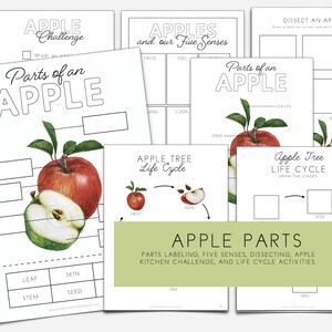 Apple Unit Study | Fall Nature Printables for Prek–2nd | Homeschool or ...
