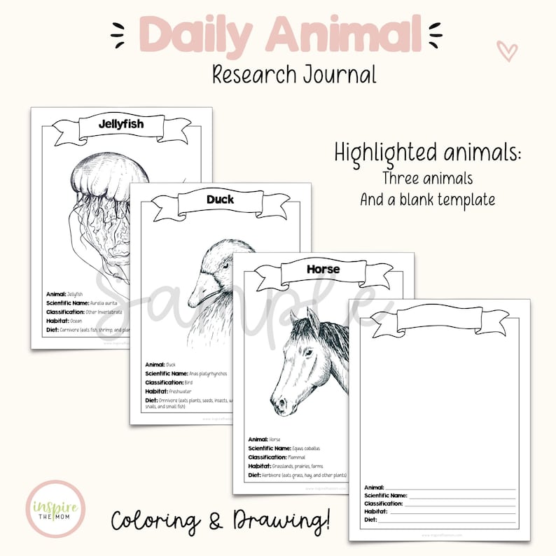 Daily Animal Research Journal | Animal of the Day Workbook | Elementary Science | Classification | Habitats | image 6