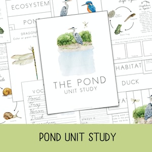 Pond Unit, Nature Study, Life Cycle, Prek - 3rd grade, Spring Unit, Montessori, Charlotte Mason, Summer Unit, Pond Activities, Pond Animals