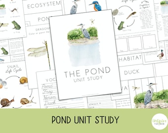 Pond Unit, Nature Study, Life Cycle, Prek - 3rd grade, Spring Unit, Montessori, Charlotte Mason, Summer Unit, Pond Activities, Pond Animals
