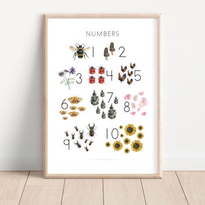 Natur Counting and Numbers Poster, Lehrdruck, Kinderzimmer Wandkunst, Montessori, Natur Zahlen, Homeschool druckbar, Alle Größen