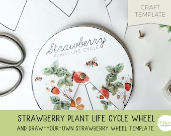 Strawberry Plant Life Cycle Wheel, Strawberry activity, Strawberry craft, craft template, Montessori, Homeschool printable, Summer craft
