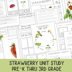 Strawberry Unit Study, Strawberry activities, Summer unit, Spring Unit, Strawberry plant life cycle, Strawberries, Strawberry Poem,