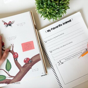 May include: An open educational workbook featuring a page with illustrations of ladybirds on a tree branch and a corresponding page titled My Favorite Animal with lined sections for writing and a rectangular box for a drawing of an animal.