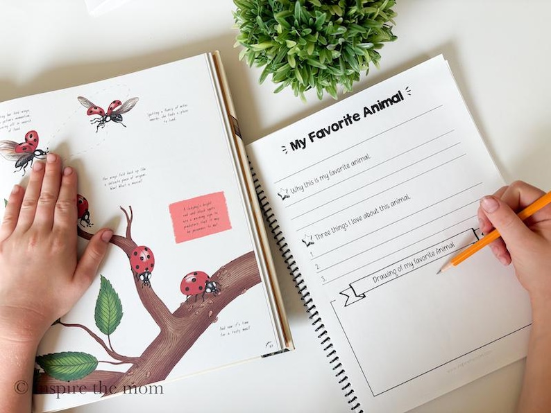 May include: An open educational workbook featuring a page with illustrations of ladybirds on a tree branch and a corresponding page titled My Favorite Animal with lined sections for writing and a rectangular box for a drawing of an animal.