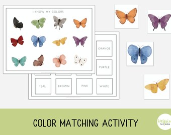 Butterfly Color Matching Activity, Preschool Activity, Preschool Colors, Home Classroom Printable, Montessori, Charlotte Mason, Color Words
