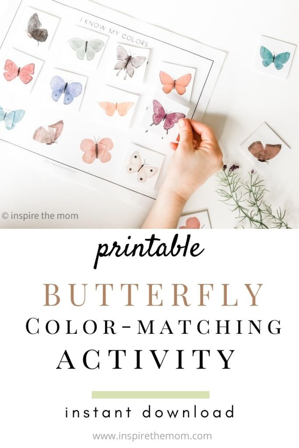 Butterfly Color Matching Activity, Preschool Activity, Preschool Colors
