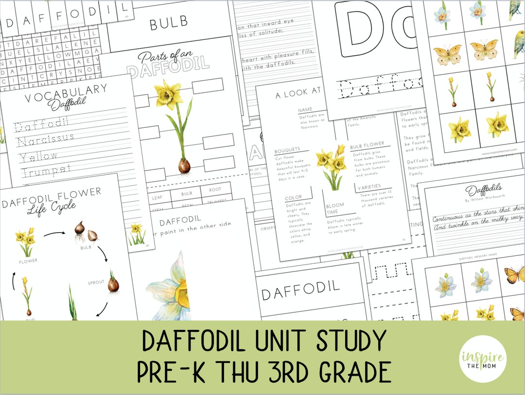 Daffodil Unit Study for Prek4th Grade Daffodil Poem Study Etsy