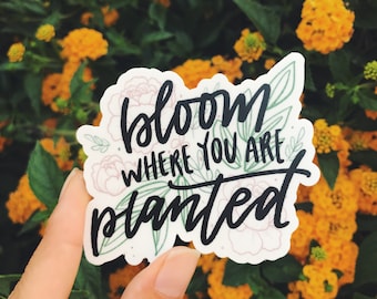 Bloom Where You are Planted