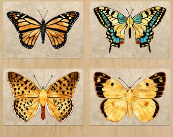 Butterfly wall art digital print Vintage natural history A4 size JPG Digital download
