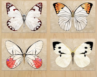 Butterfly printable wall art digital artwork Vintage Natural decor A4 size JPG Digital download