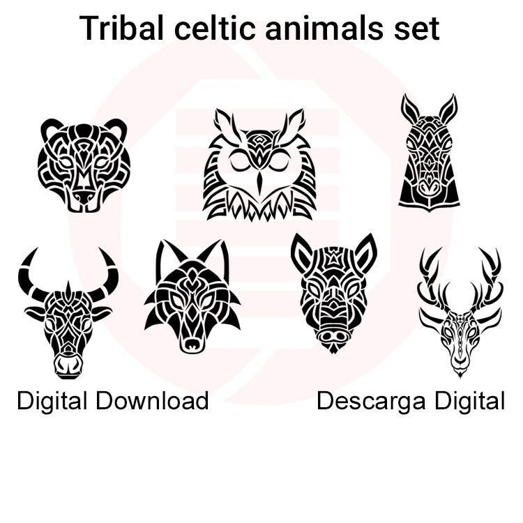 110 Celtic Animal Tattoo Pictures Illustrations RoyaltyFree Vector  Graphics  Clip Art  iStock