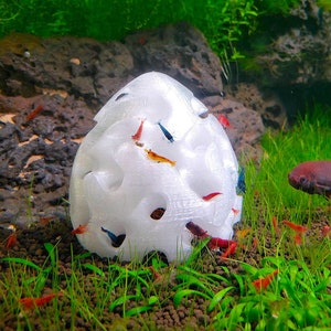 The ORIGINAL Shrimp Home, Hide, Cave! - 3D Printed ABS Plastic - Multiple shapes, sizes, and colors available!